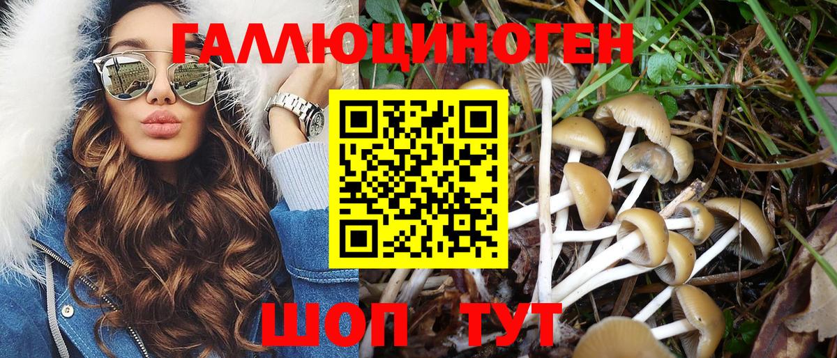 Псилоцибиновые грибы Magic Shrooms Асино