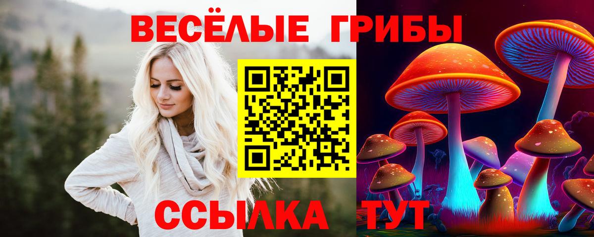 Псилоцибиновые грибы ЛСД  Вход с VPN  Асино  закладки  Галлюциногенные грибы прущие грибы 