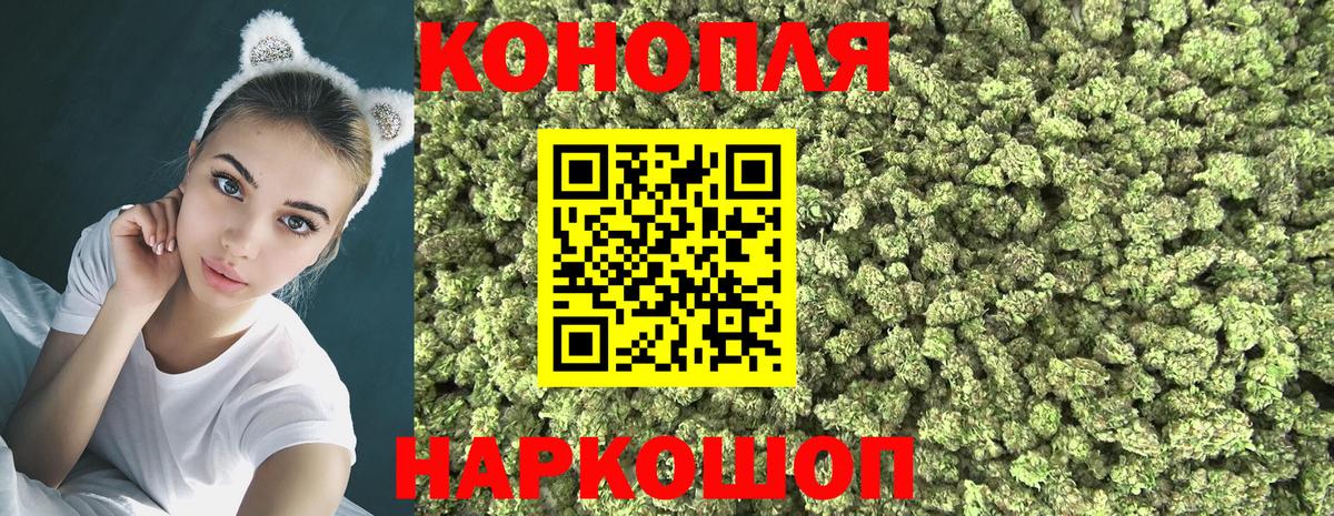 Асино  Бошки Шишки Bruce Banner  Каннабис VHQ  Конопля план  Вход с VPN  Канабис семена 